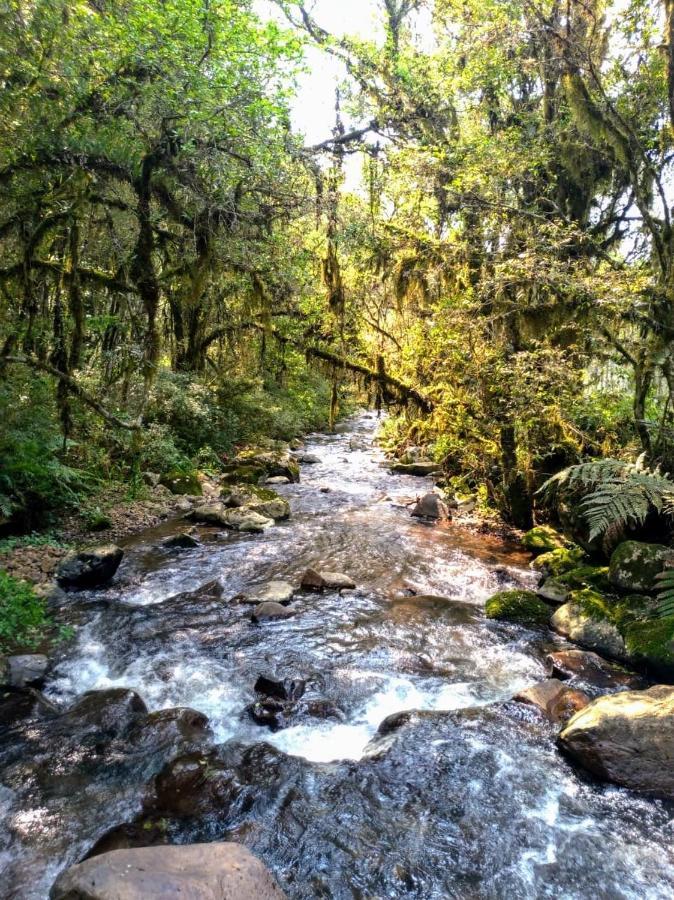 Chales Estancia Cachoeira Do Avencal Urubici Εξωτερικό φωτογραφία