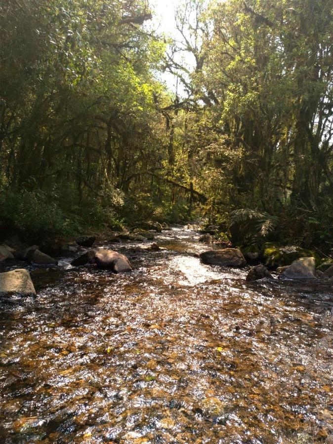 Chales Estancia Cachoeira Do Avencal Urubici Εξωτερικό φωτογραφία